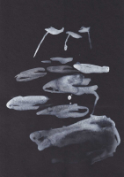 http://www.actionaqua.com/files/gimgs/th-111_glashaus 1.jpg